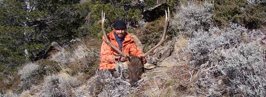 Photo of hunter with elk trophy after a successful hunt